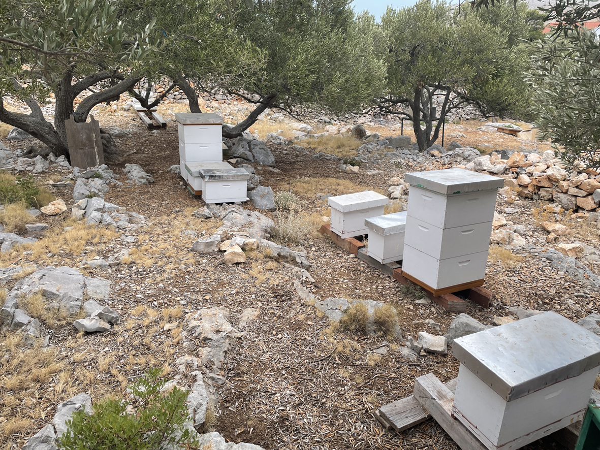 kroatien - Piskera Honig 1